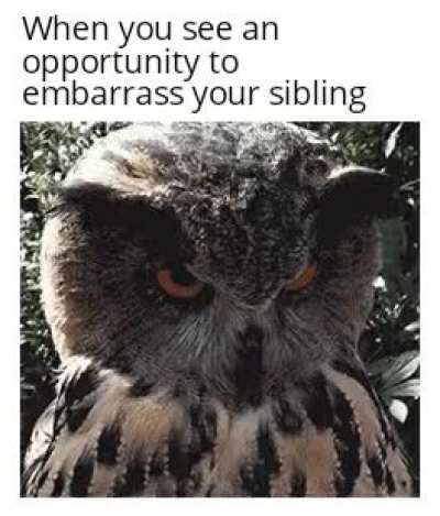 I'm that one sibling