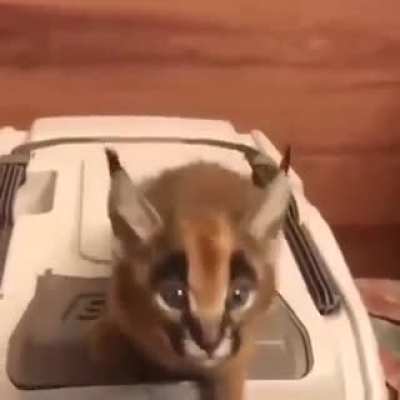 :D