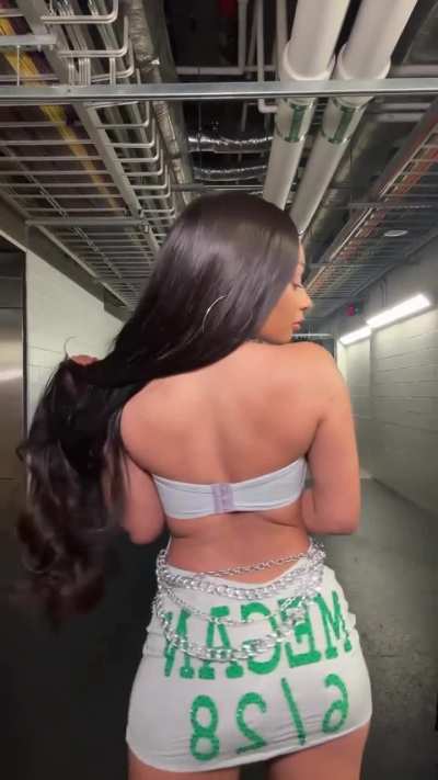 Megan Thee Stallion 