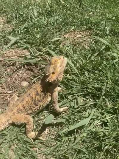 Welcome to Jurassic Park