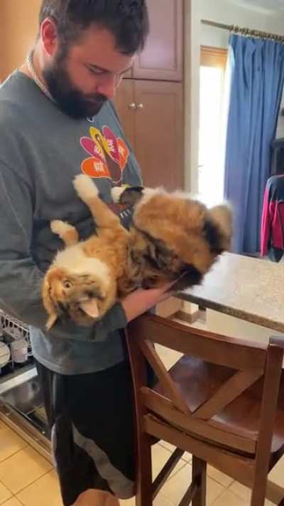 She&rsquo;s learned the best way to get cuddles.