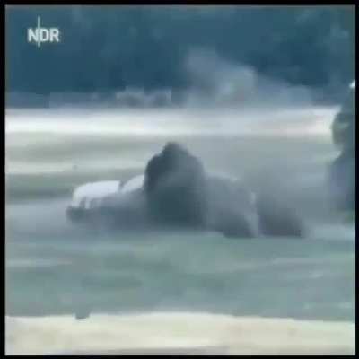 Maybe don&rsquo;t fuck with Rhinos