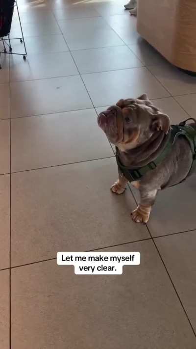 We asked the staff not to give him another pup cup as it upsets his stomach