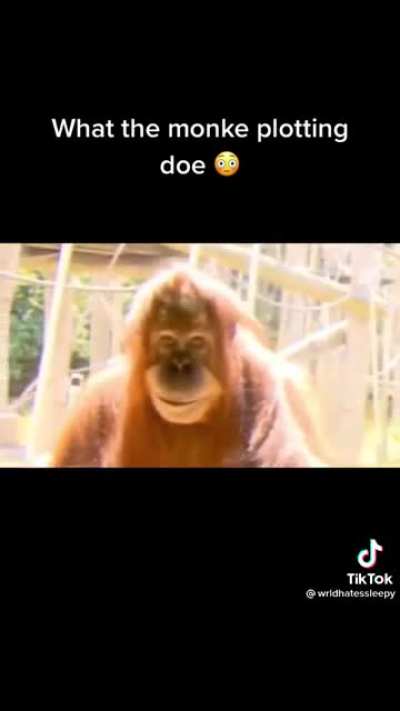 Chango diab&oacute;lico