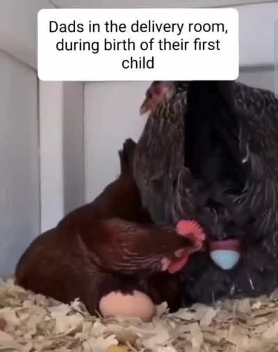 Me_irl