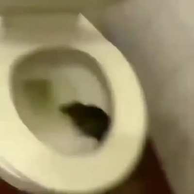 😐