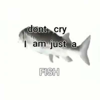 eu🐟nvr