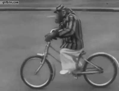 🔥 This talented ape taught himself how to ride a bike! We primates are not so different...