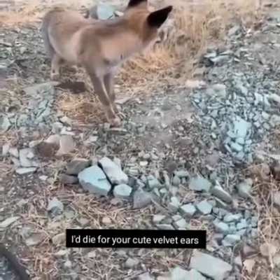 You should Die than 