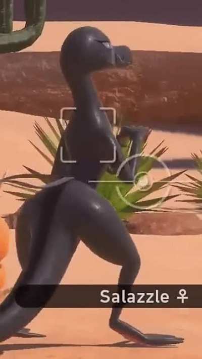 [Pokemon snap]