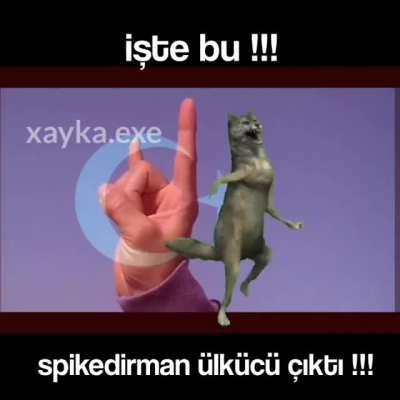 İşte bu