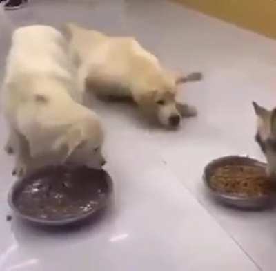 It's mine .. all mine!