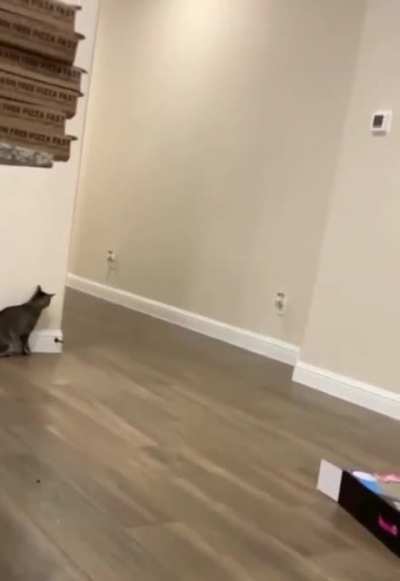 SURPRISE!!