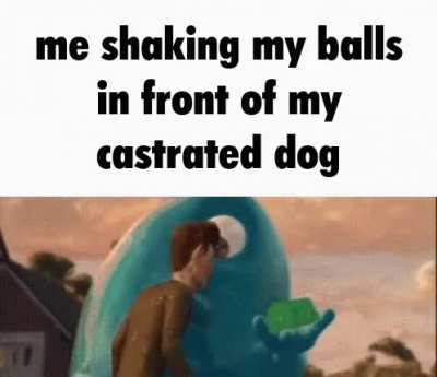 dog rule