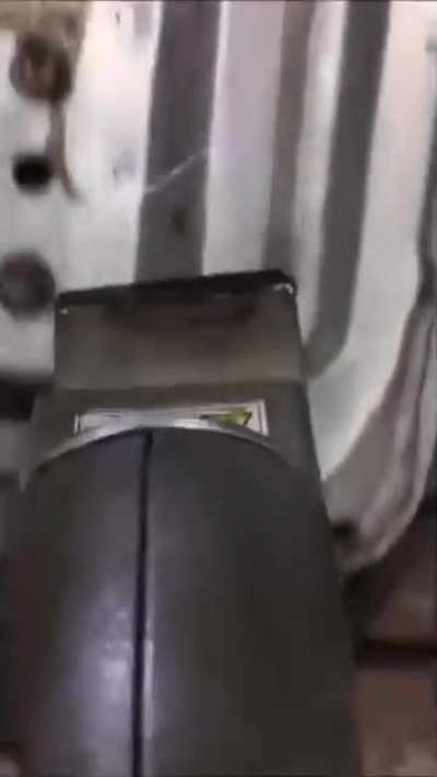 Gopro mounted on the laser optic during mold cleaning