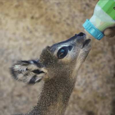 had to mark spoiler because of how adorable this little baby is!