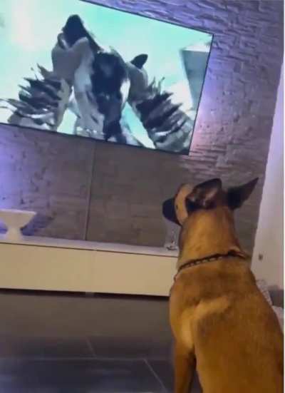 "You killed my kind."