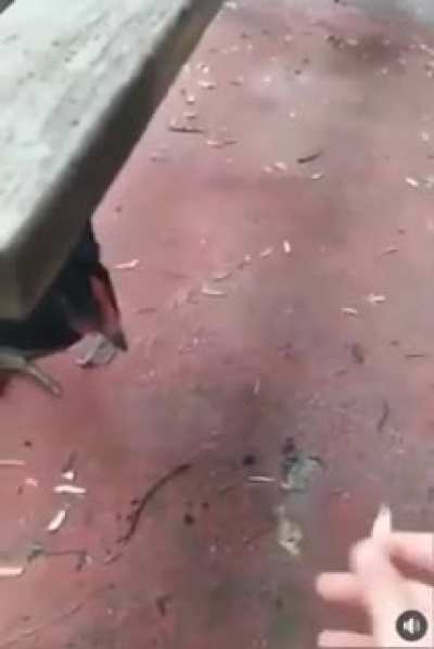 Yavaş yavaş, t&uuml;m reddite