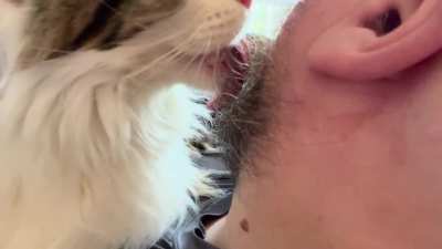 Beard Trimmer