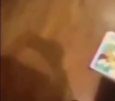 Dogs can&rsquo;t eat jellybeans