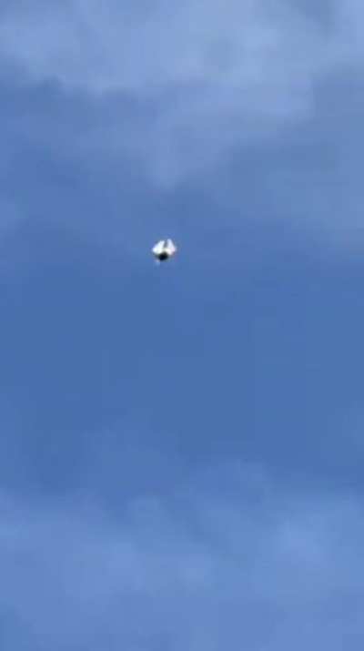 A barrel-rolling pigeon dive.