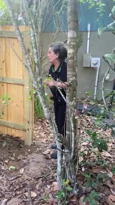 While installing fence neighbor issues threats from Islamic state.