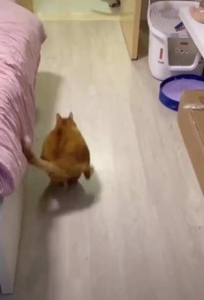 He&rsquo;s a coming