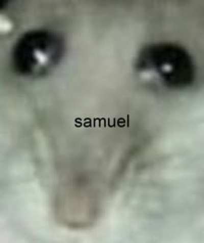 Say hi