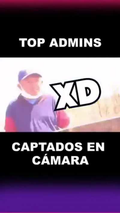 Se lo ve fresco