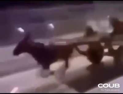عراض ببسي