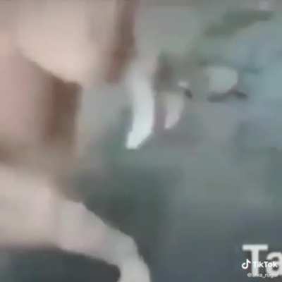 Les vengo a recordar esta joya