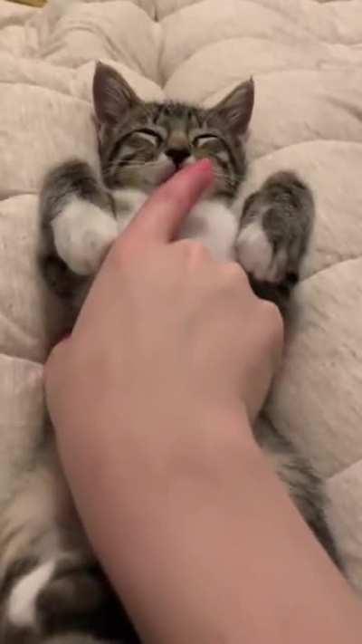 Let me sleep dam you!