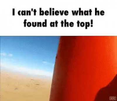 Amazing right ？