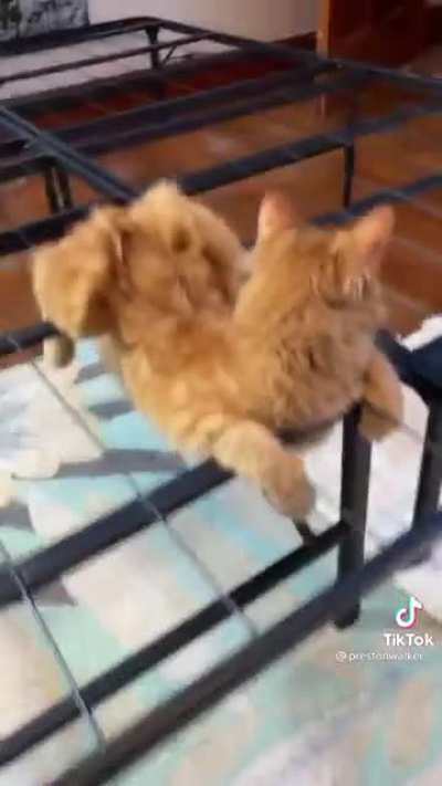 Hey, it&rsquo;s comfy to me
