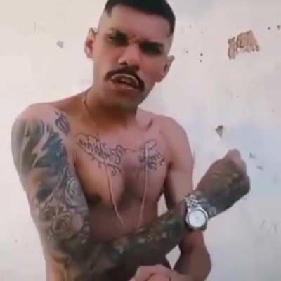 Cria ou Imbecil?