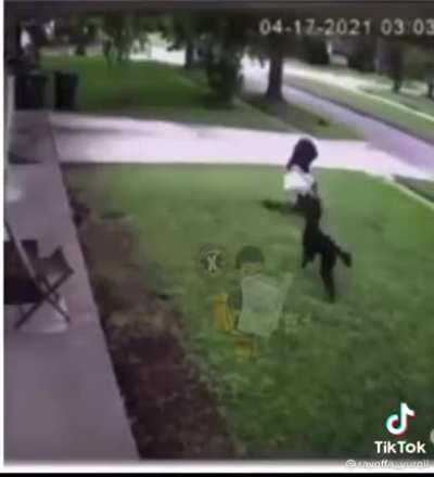 Man destroys a coyote that tried to hurt his dog