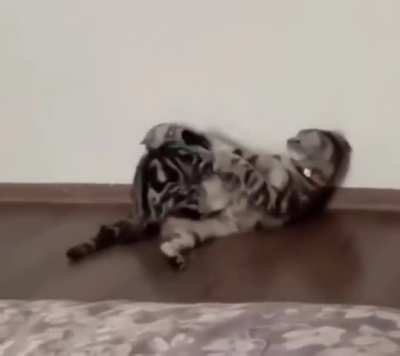 Ambushed