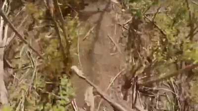 Battle in the Donetsk region through the eyes of a soldier of the 3rd Assault Brigade