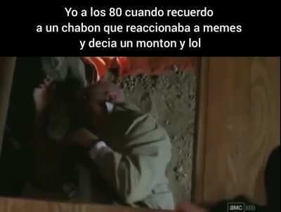 Anashe