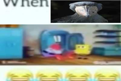 When you bird