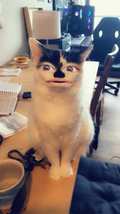 WOW