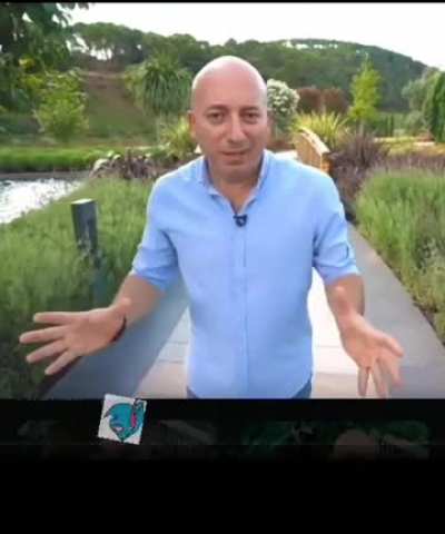 selim bey