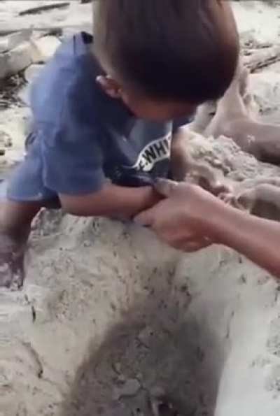 Kid learns how not to pick up a crab