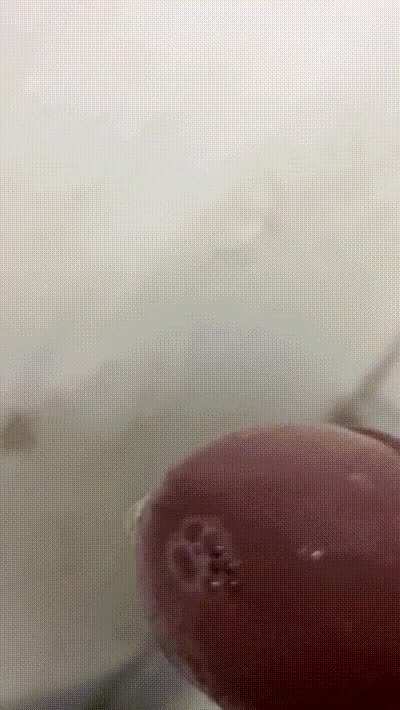 28 bien mojado 