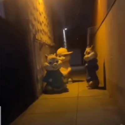 they come
