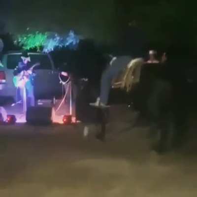 Horse dance