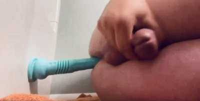 Love this toy! 