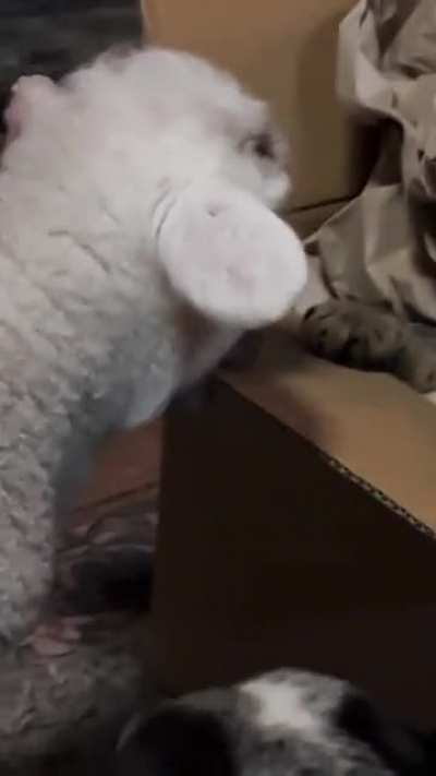 He has accepted his fate&hellip;