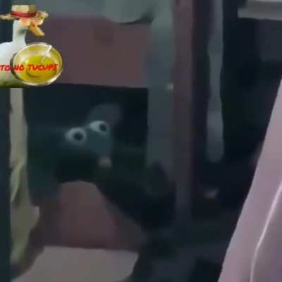 O t&iacute;tulo