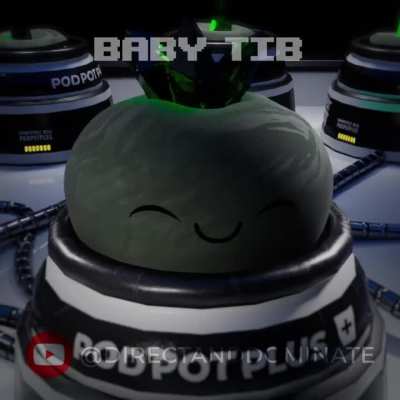 Baby Tib